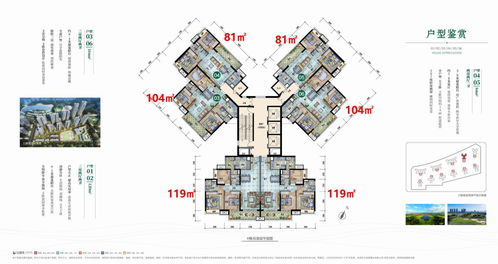 纵览湾区天际线 珠海九洲保利天和楼盘深度图文解析