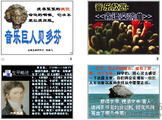 ** 音乐巨人贝多芬\n**副标题 ** 聆听命运 感受不朽\n**配图建议 ** 贝多芬经典肖像画（如1804年《英雄交响曲》时期画像），背景为交响乐团剪影或黑白琴键。\n\n---\n\n## 目录页\n1. 人物生平  \n2. 音乐成就  \n3. 代表作品  \n4. 人物轶事  \n5. 名家评价  \n6. 总结与感悟\n\n> **配图建议 ** 贝多芬剪影置于页面右侧，左侧排列目录条目项。\n\n---\n\n## 一、人物生平\n**路德维希·凡·贝多芬（1770—1827）**\n\